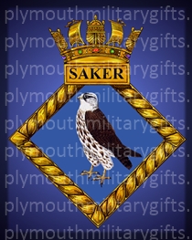 HMS Saker Magnet